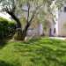 Tuttintorno ulivi, siepi e arbusti. Lampio giardino che circonda la masseria  un tripudio di verde ma non solo...